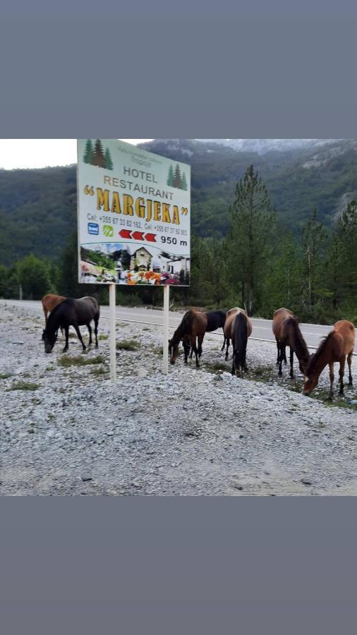 Hotel Margjeka Valbone Dış mekan fotoğraf
