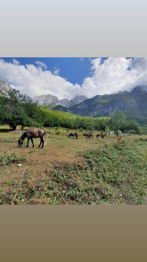 Hotel Margjeka Valbone Dış mekan fotoğraf