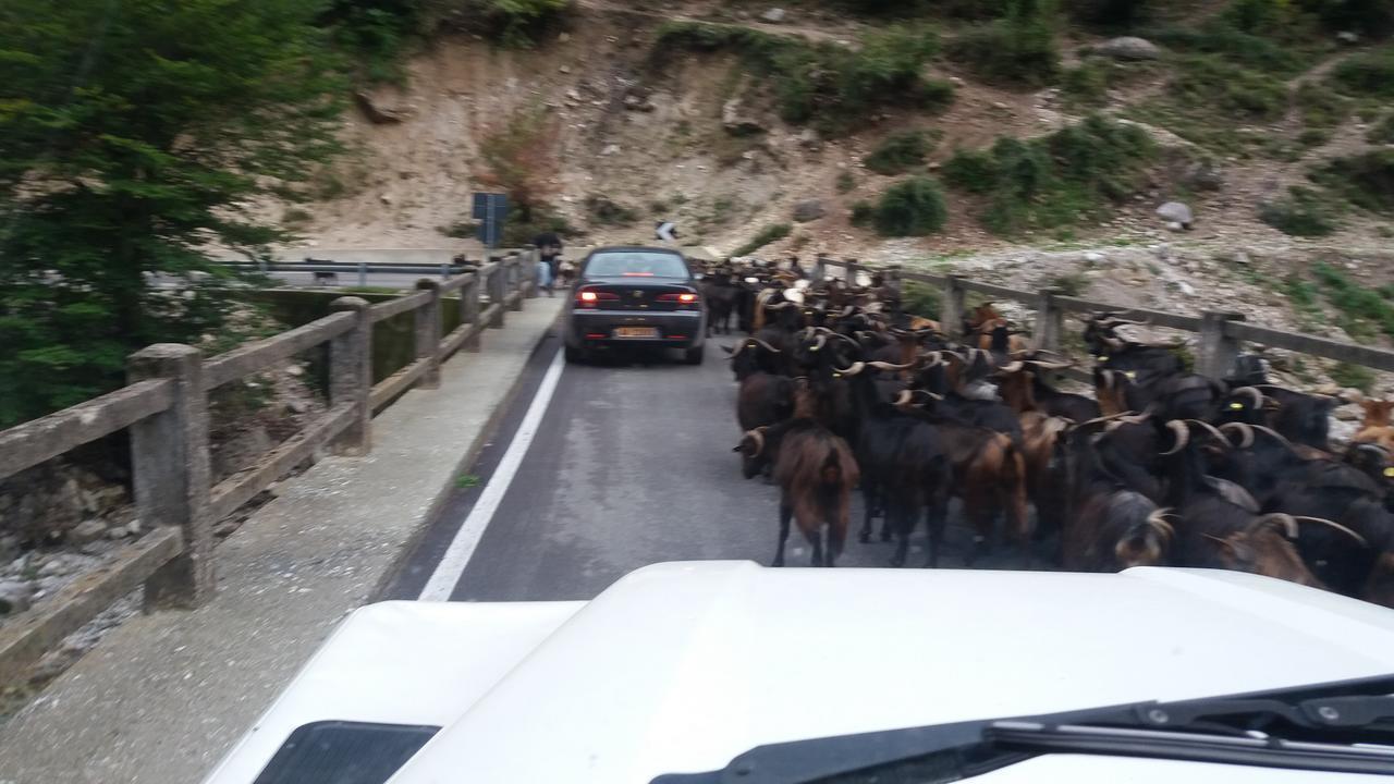 Hotel Margjeka Valbone Dış mekan fotoğraf